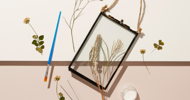 Your brand proposition and goals